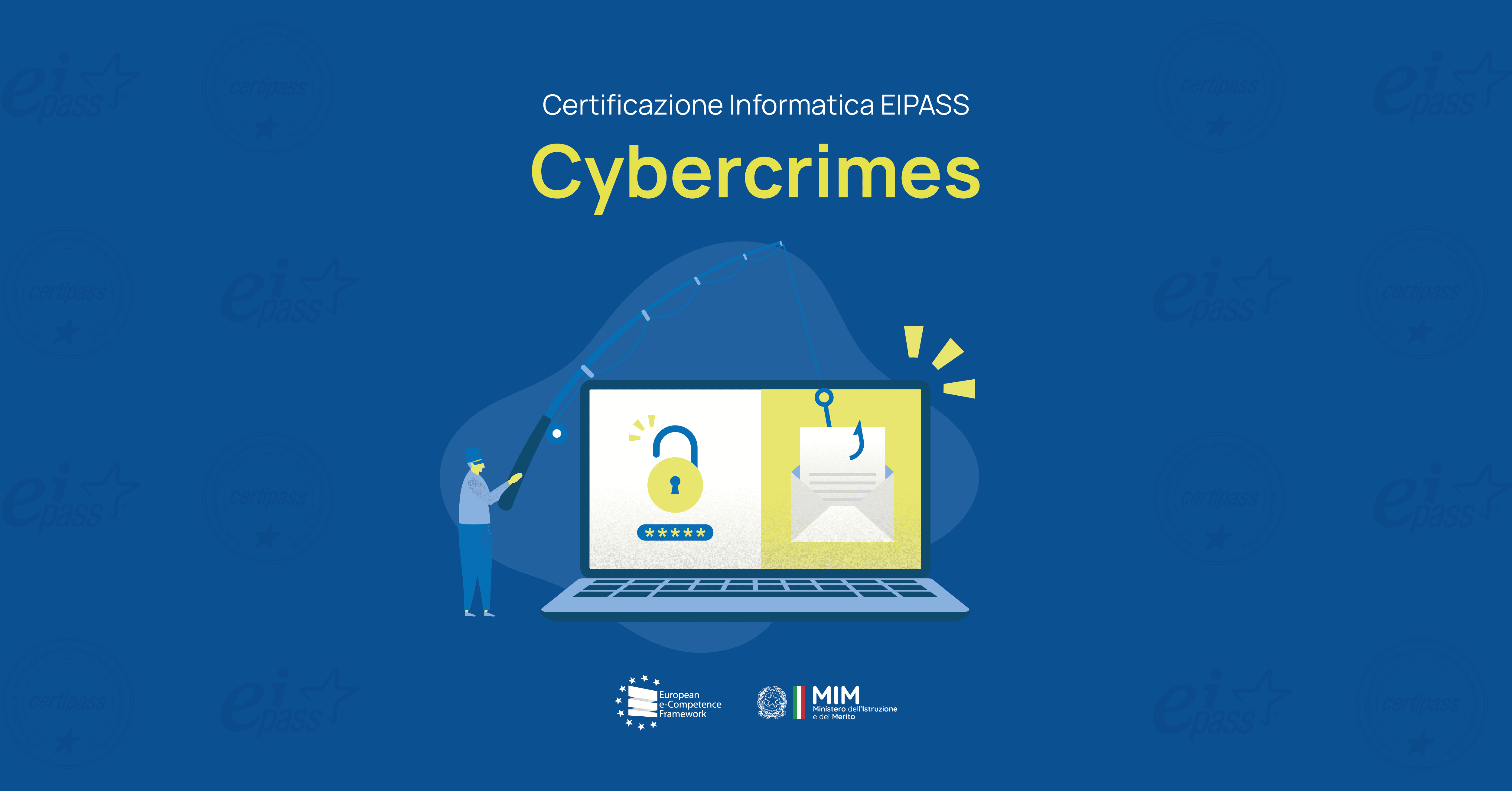 Cybercrimes